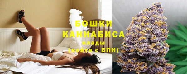 мдпв Кукмор