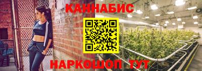 индика Донецк