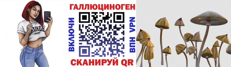 Галлюциногенные грибы мицелий  цены наркотик  Назрань 