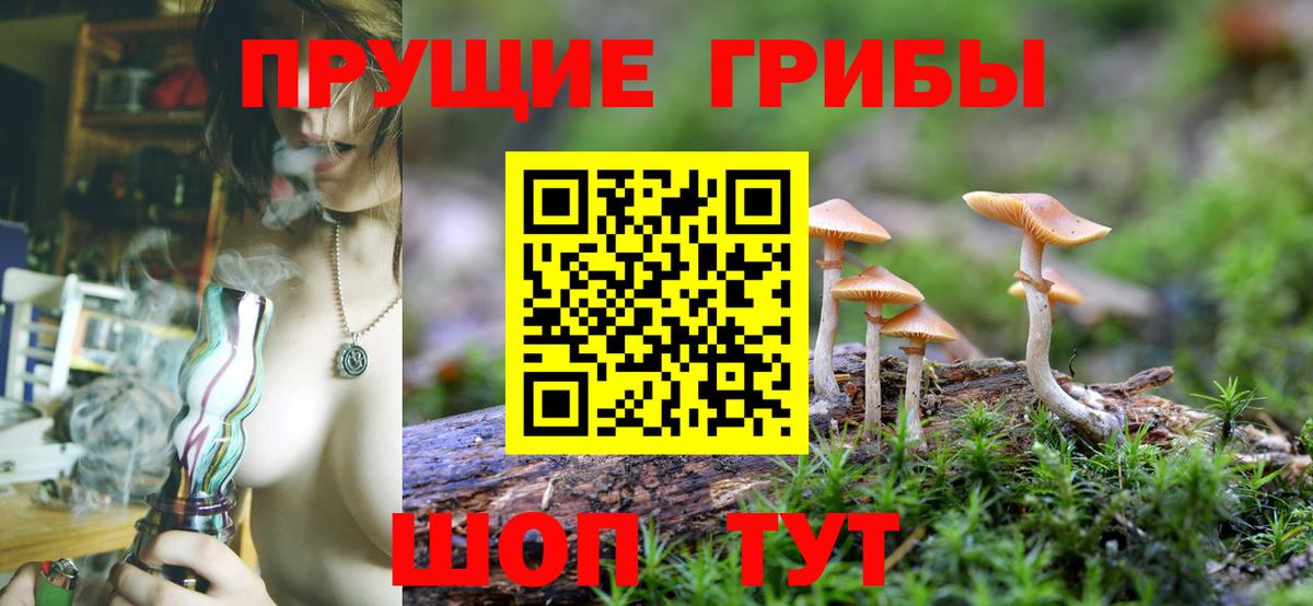 Галлюциногенные грибы GOLDEN TEACHER  Назрань  Галлюциногенные грибы мухоморы 
