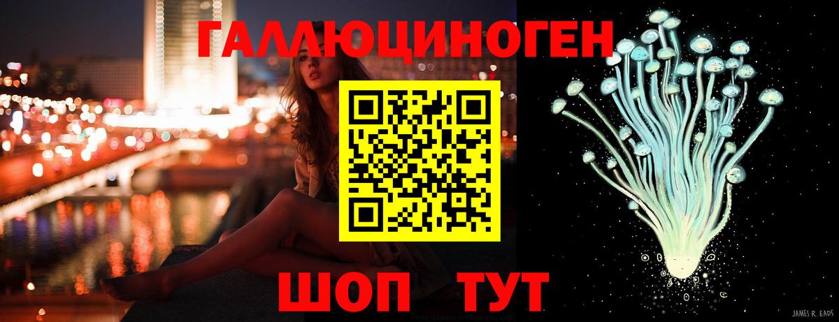 Псилоцибиновые грибы Psilocybe Назрань