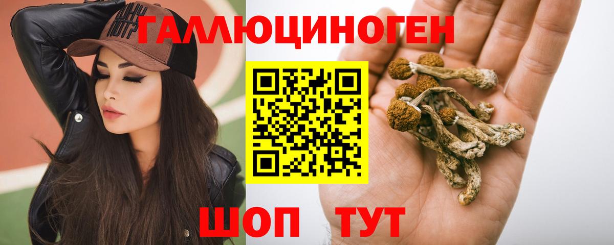Назрань  Галлюциногенные грибы мицелий  Вход с VPN 