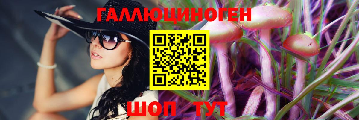 Назрань  Купить наркотик  Метамфетамин  A PVP СК   Меф   АМФЕТАМИН  